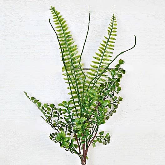 Holiday Depot Inc. - ISB72861- 22in Mix Ficus Fern Bush- - CancreekDesigns