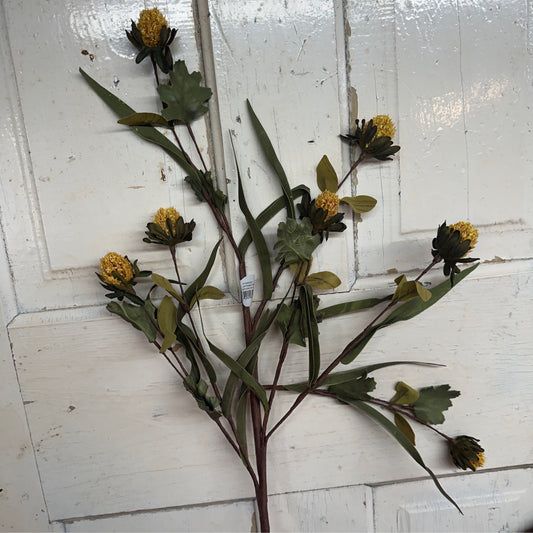 34" Harvest Carthamus gold - CancreekDesigns