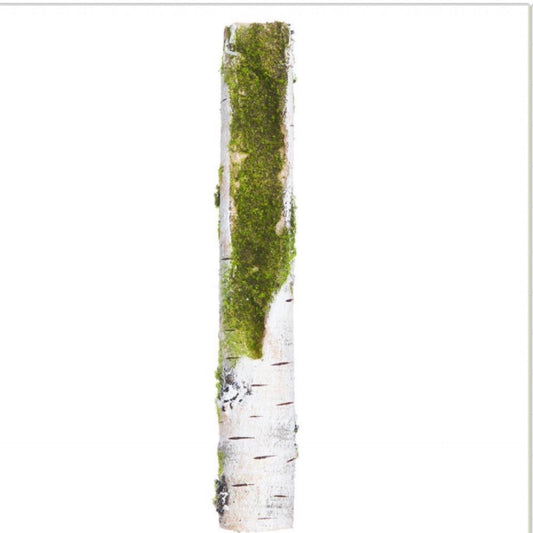 14” faux birch branch with moss - CancreekDesigns