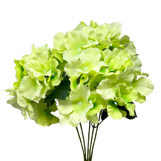 David Christopher's Collection - Cypress Garden Hydrangea Bush x 5 - 19” - Green - CancreekDesigns
