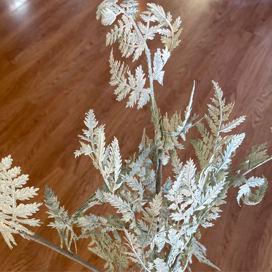 Bleached Fern Bush - CancreekDesigns