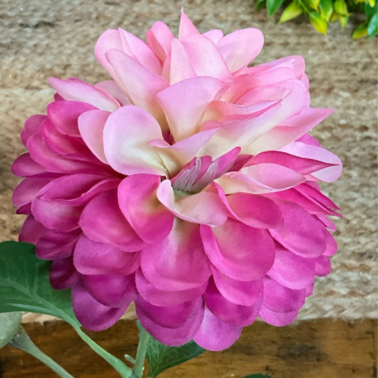 Romance Sorbet Dahlia with bud 5”x29” Raspberry Pink - CancreekDesigns