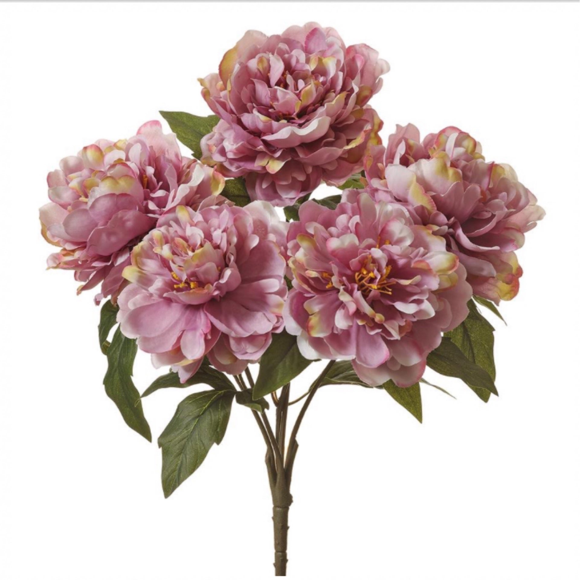 17" Peony Bush x5  Lavender - CancreekDesigns