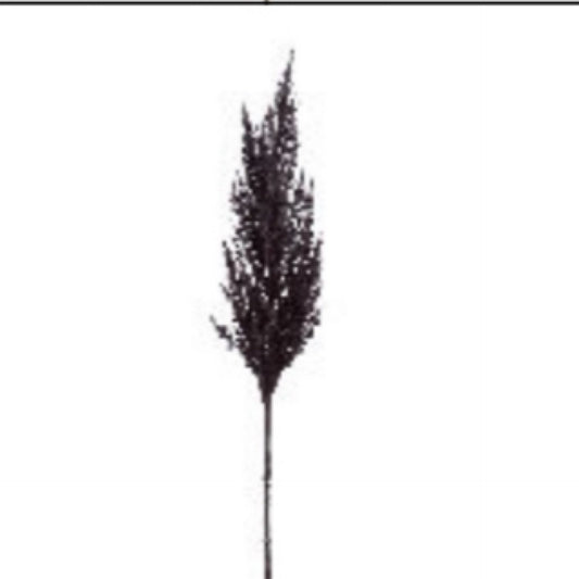 37” pampas grass spray, black - CancreekDesigns