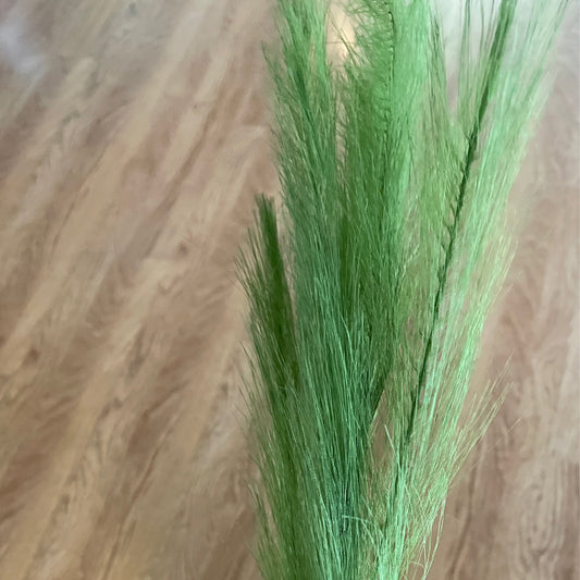 Green Pompus Grass - CancreekDesigns