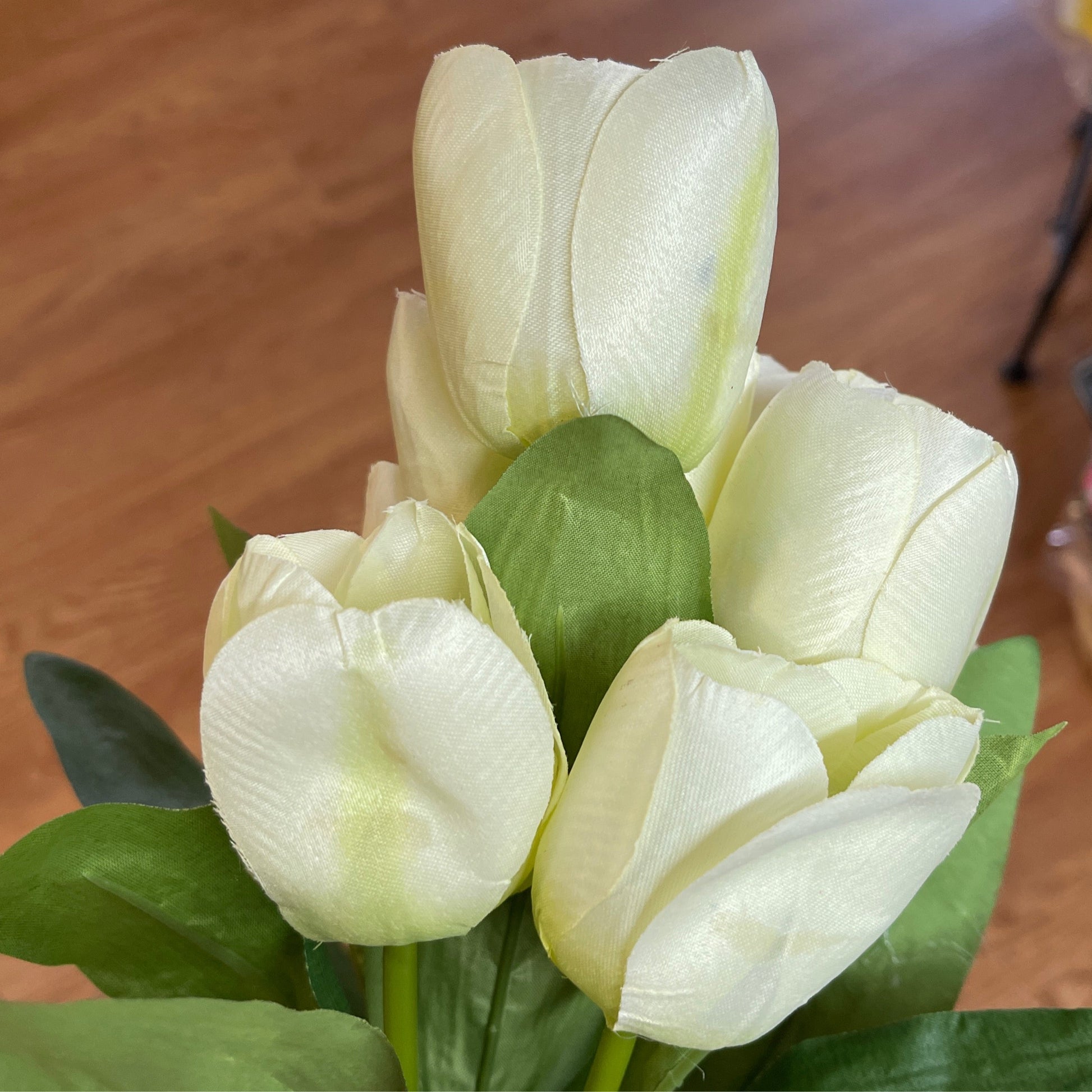 Tulip Cream - CancreekDesigns