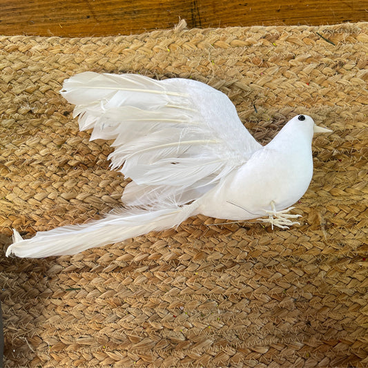 White dove - CancreekDesigns