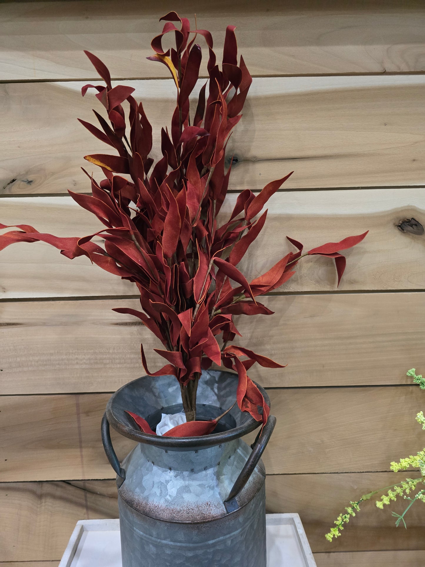 Burgundy, herb leaves 21" Bush.
