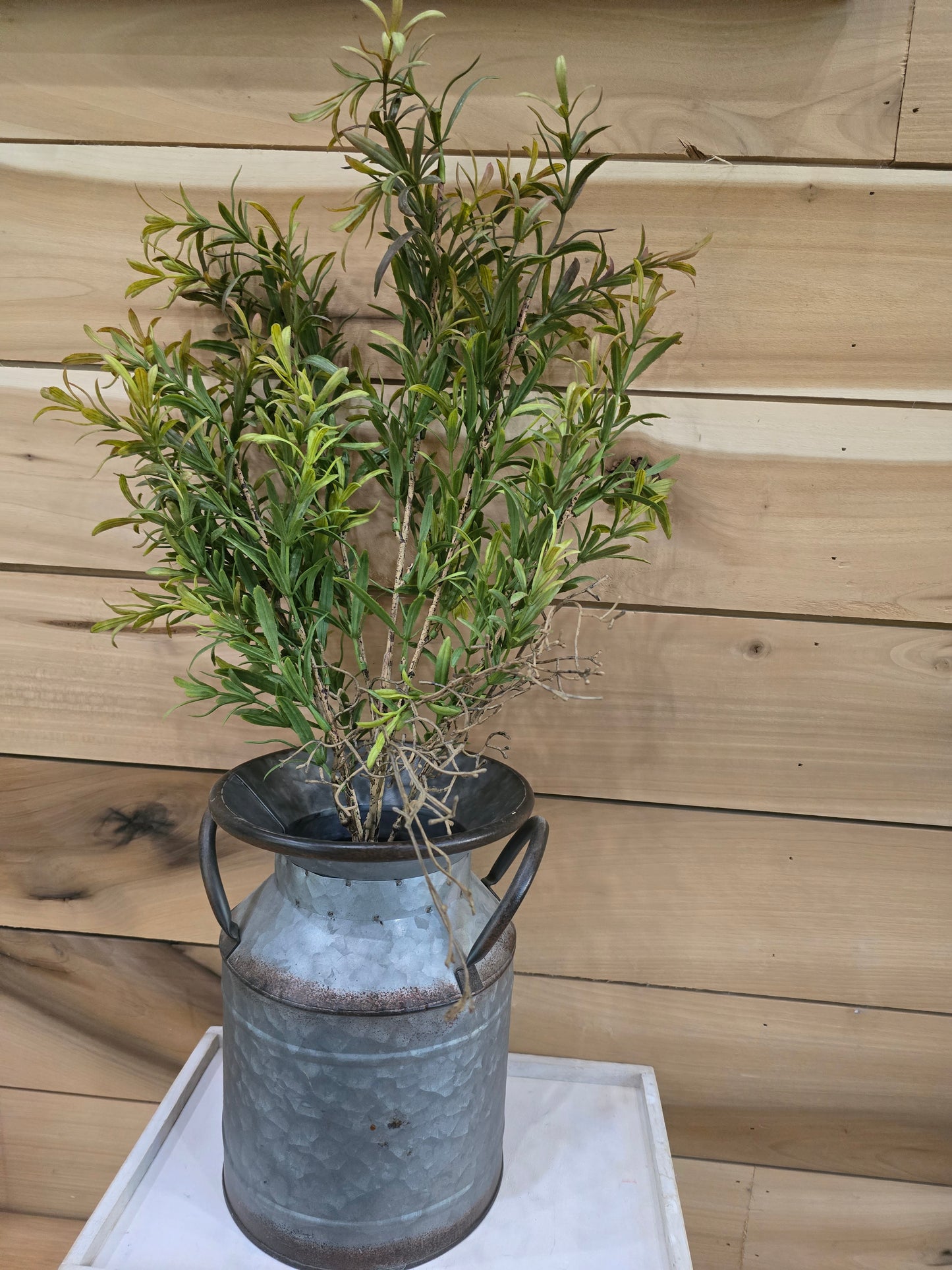 24" Bush-lucky grass- mix green