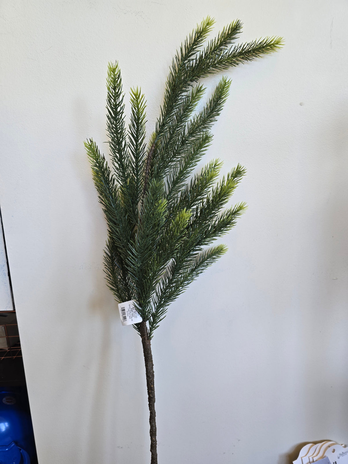 Threshold pine stem