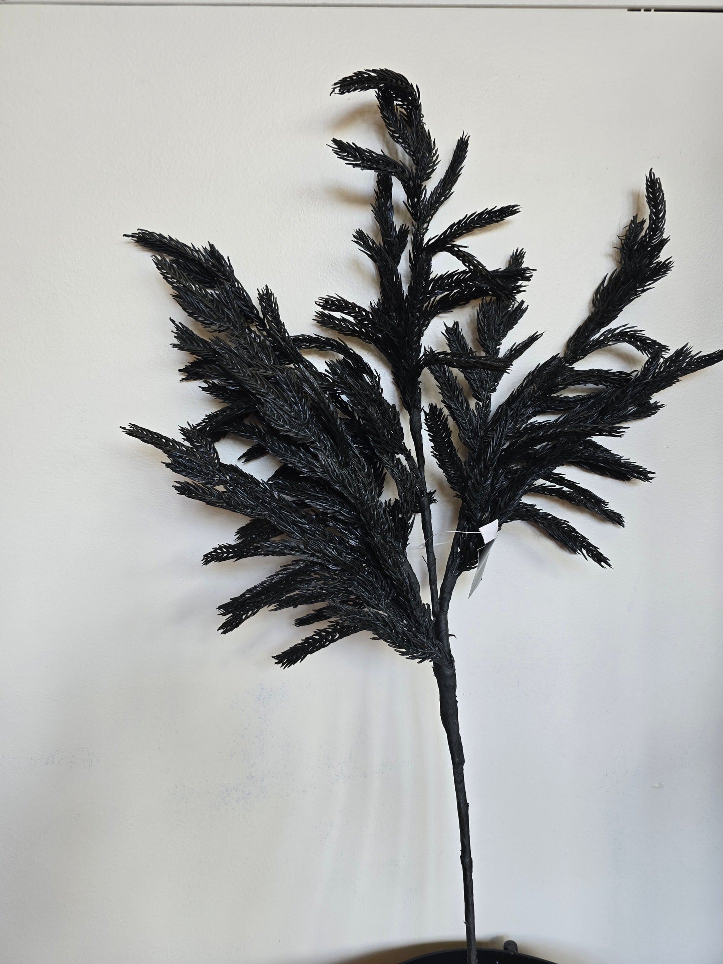 24" Real touch black Norfolk pine stem