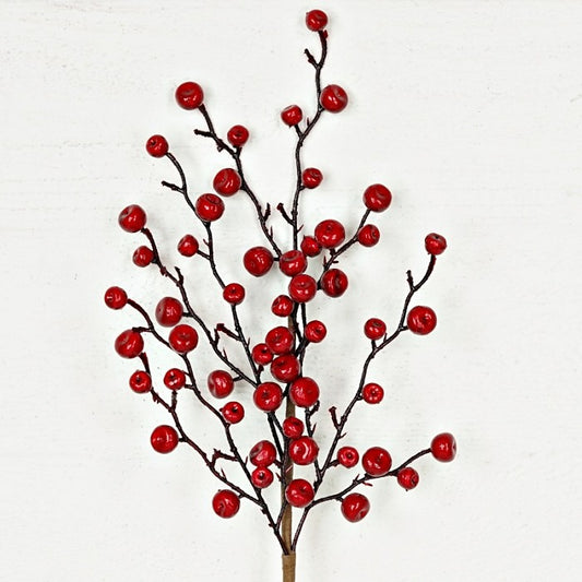 Shiny Red Oval Berry